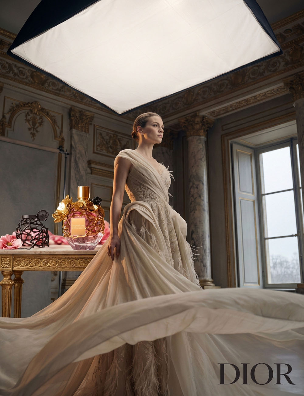 Dior concept ad
